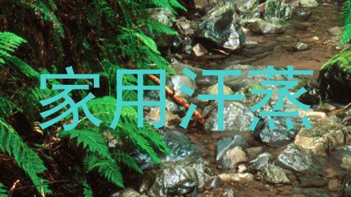 家用汗蒸