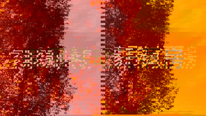家用移动汗蒸房