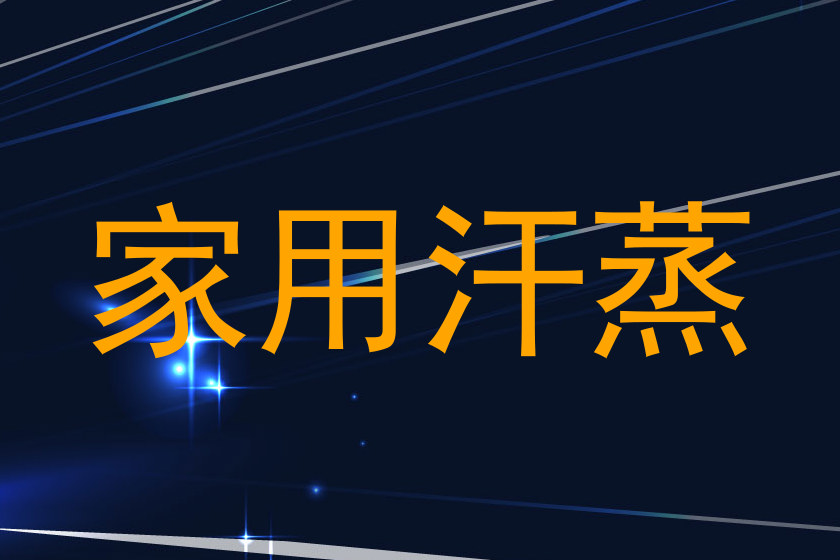 家用汗蒸
