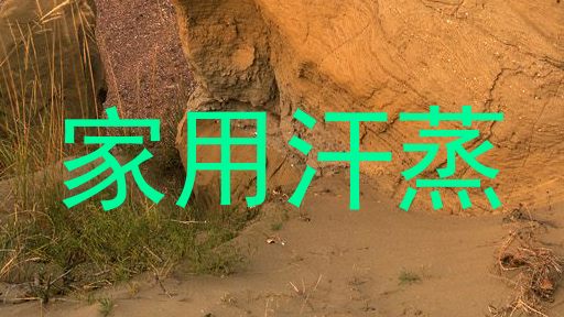 家用汗蒸