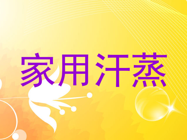 家用汗蒸