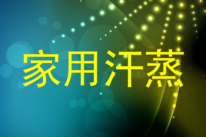 家用汗蒸