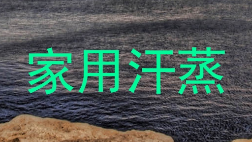 家用汗蒸