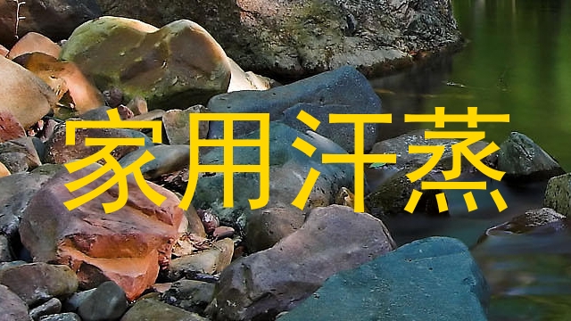 家用汗蒸