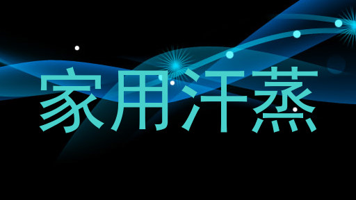 家用汗蒸