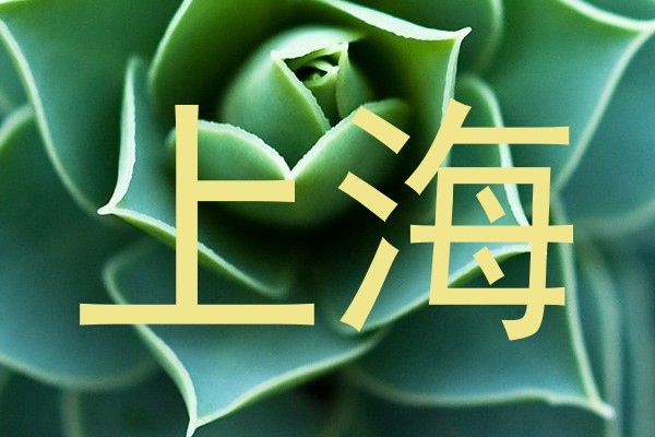 上海