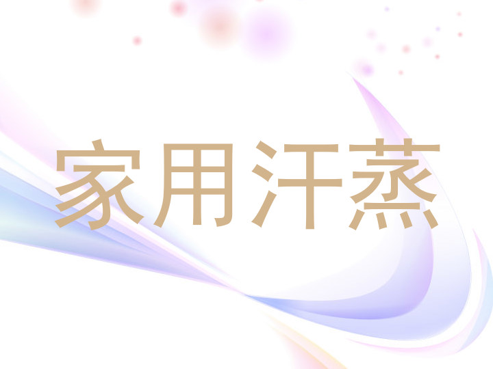 家用汗蒸