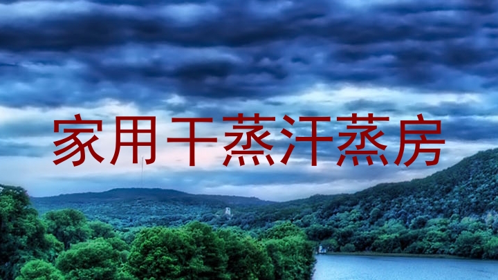 家用干蒸汗蒸房
