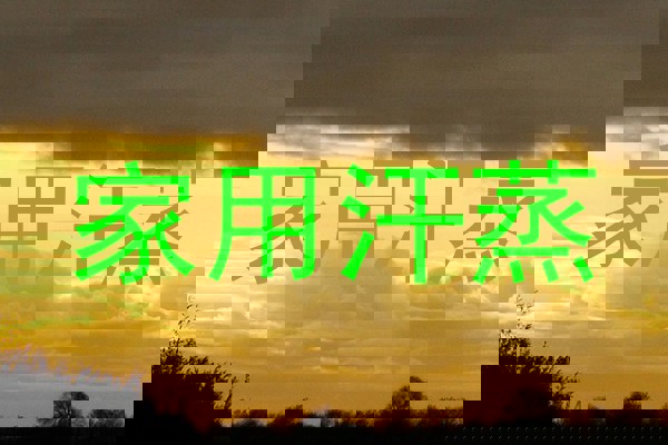 家用汗蒸