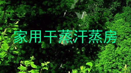 家用干蒸汗蒸房