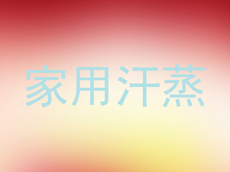 家用汗蒸