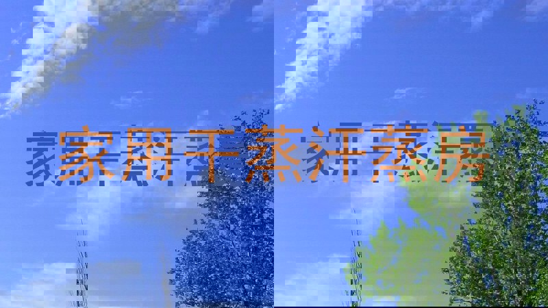 家用干蒸汗蒸房