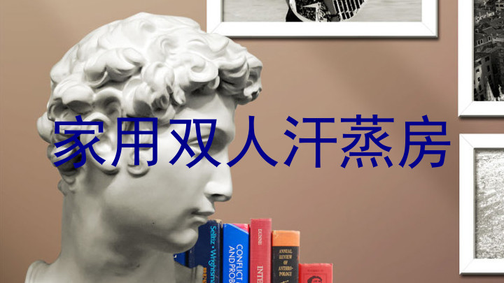 家用双人汗蒸房
