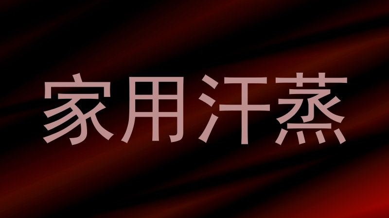 家用汗蒸