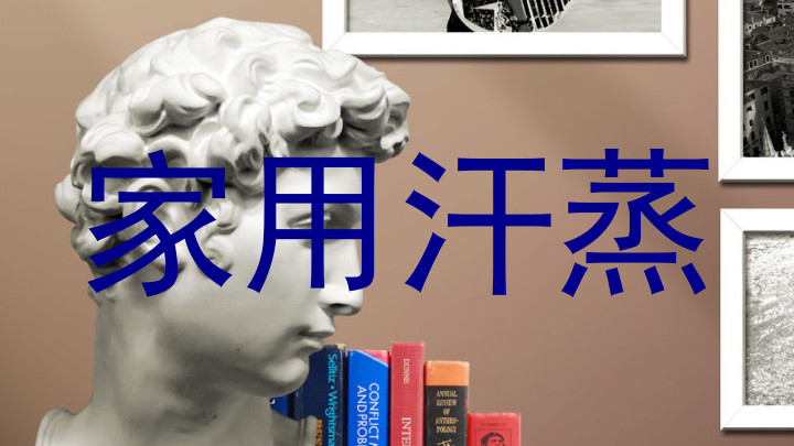 家用汗蒸