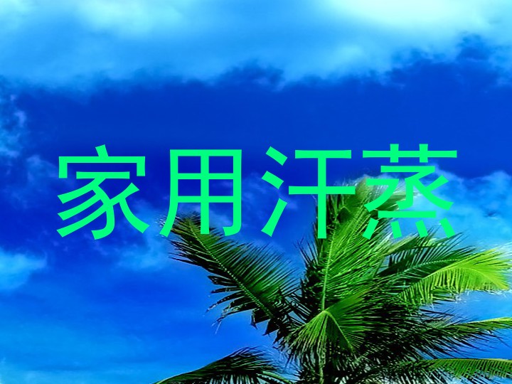 家用汗蒸