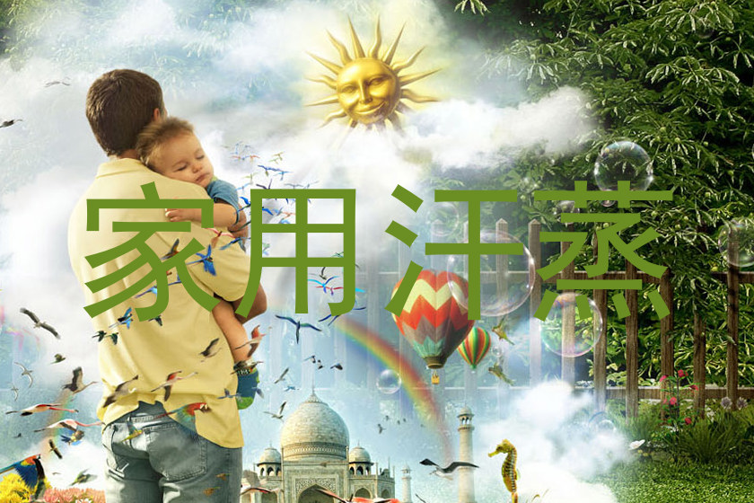 家用汗蒸