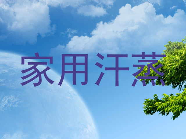 家用汗蒸