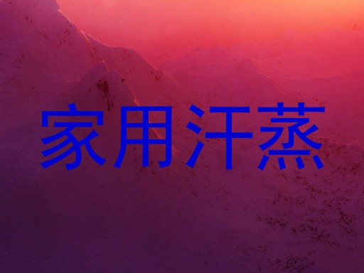 家用汗蒸