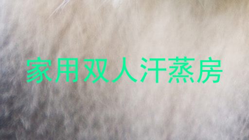 家用双人汗蒸房