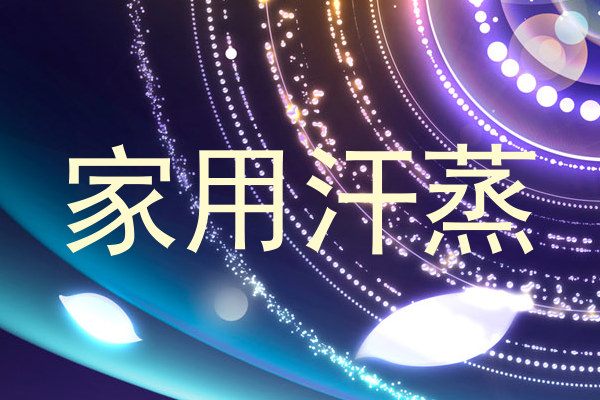 家用汗蒸