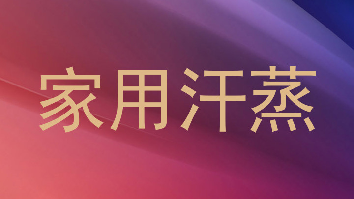 家用汗蒸