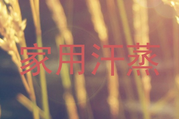 家用汗蒸