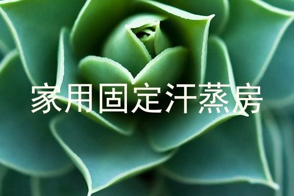 家用固定汗蒸房