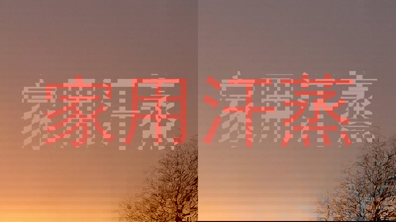 家用汗蒸