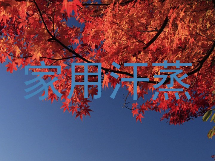 家用汗蒸