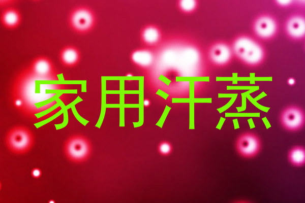 家用汗蒸