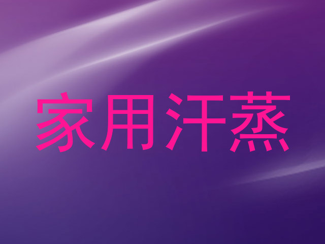 家用汗蒸