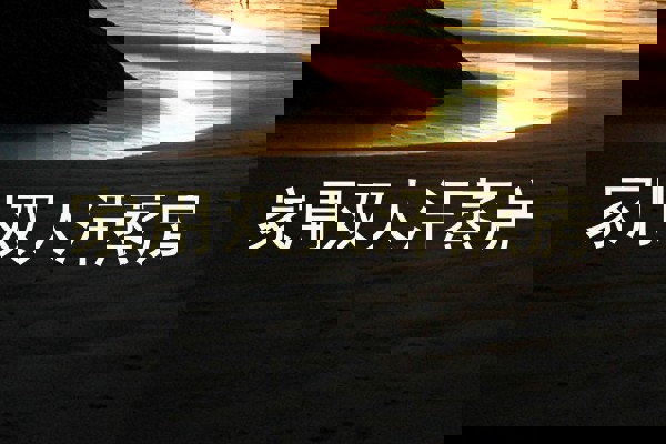 家用双人汗蒸房