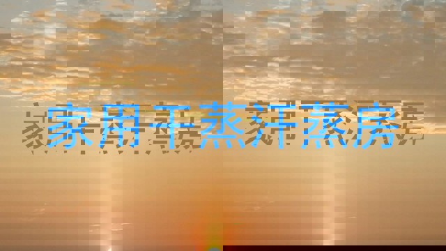家用干蒸汗蒸房