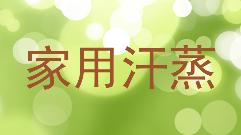 家用汗蒸
