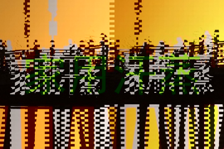 家用汗蒸