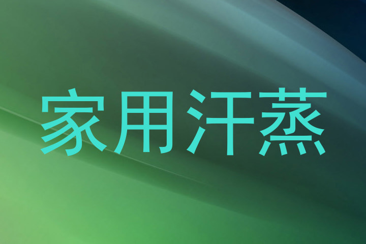 家用汗蒸