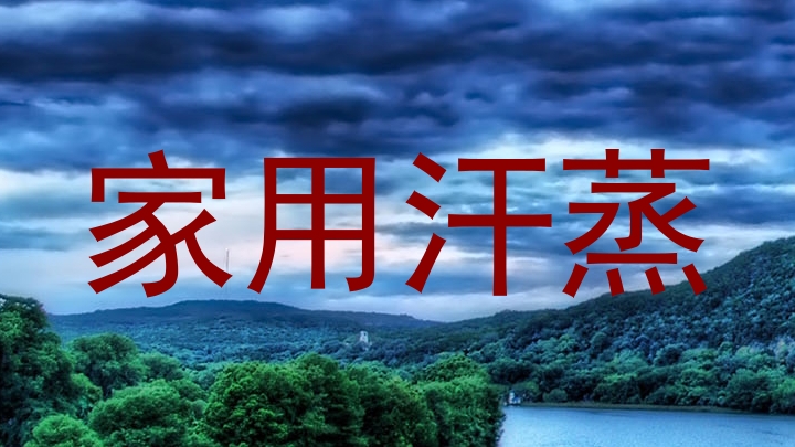 家用汗蒸