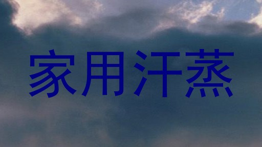 家用汗蒸