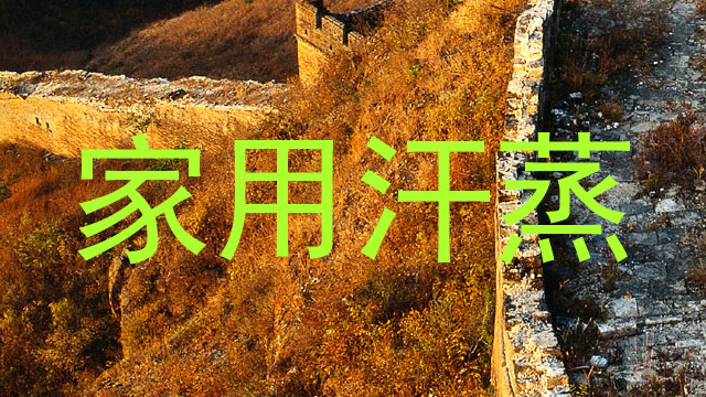 家用汗蒸