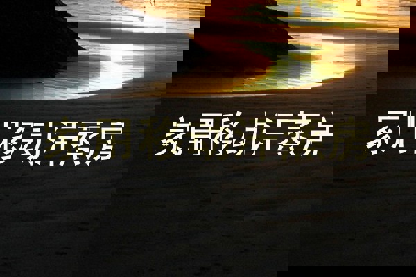 家用移动汗蒸房