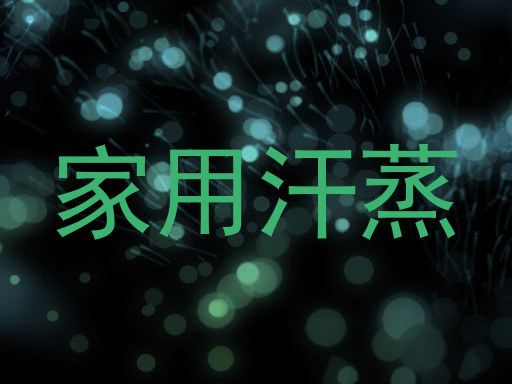 家用汗蒸