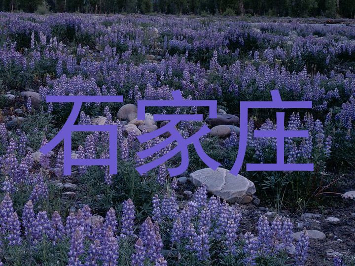 石家庄