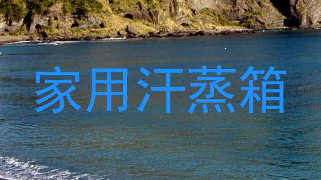 家用汗蒸箱