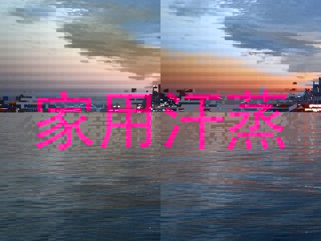 家用汗蒸