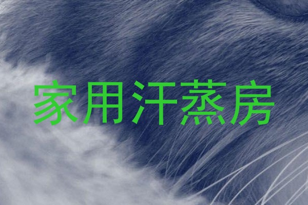 家用汗蒸房