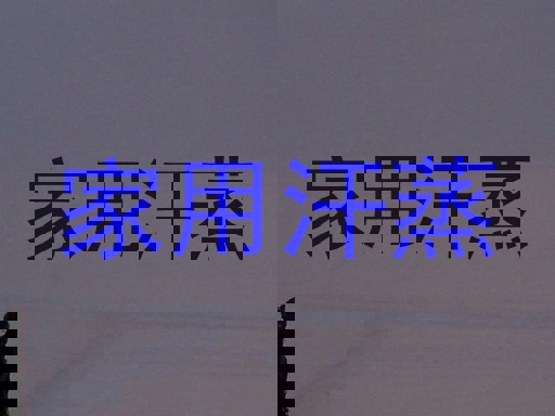 家用汗蒸