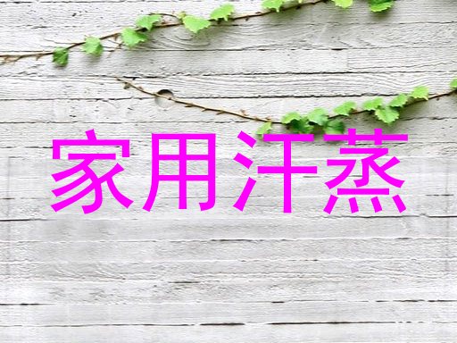 家用汗蒸