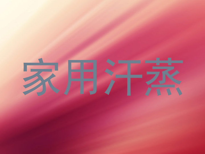 家用汗蒸
