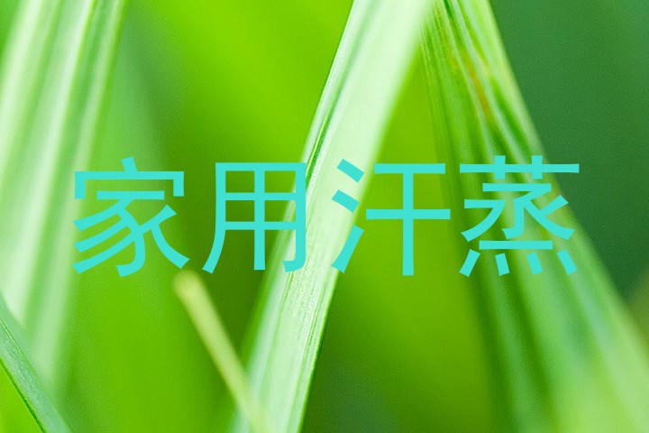 家用汗蒸